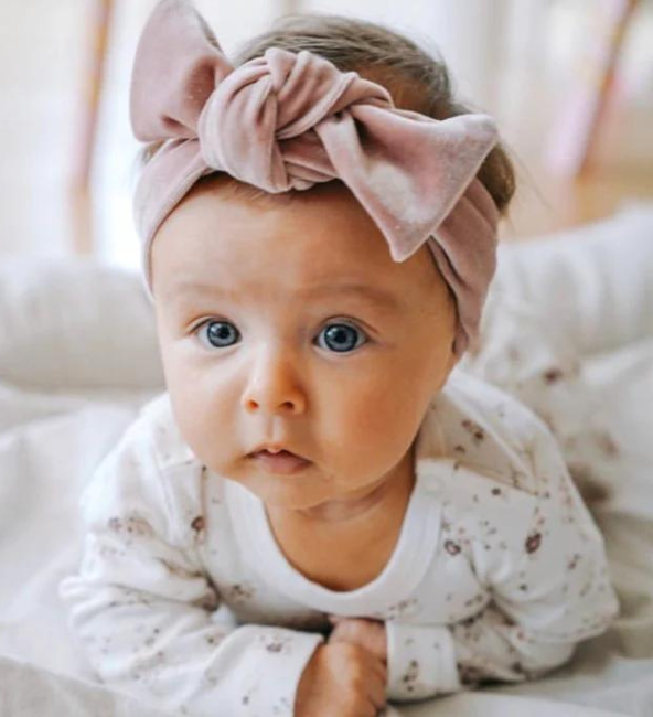 Pink Velvet Topknot