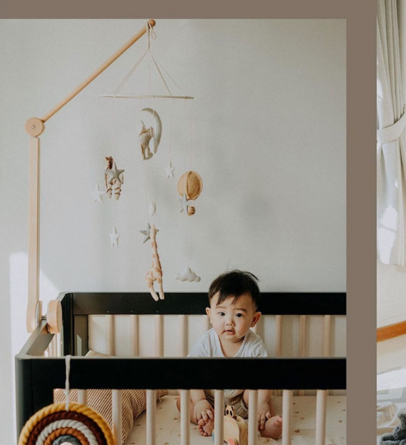 The Wild Life Crib Mobile